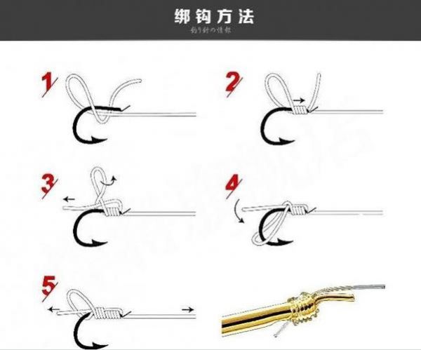 秋季钓鲫鱼鱼钩的位置