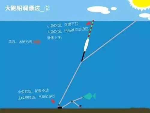 通州运河钓鱼技巧