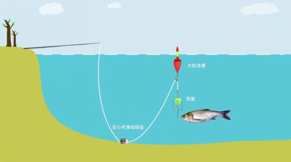 钓鱼胖头鱼技巧视频