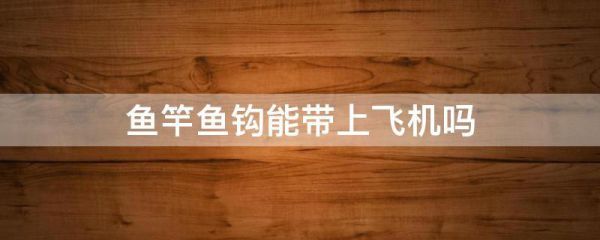 鱼钩能随身带上飞机吗