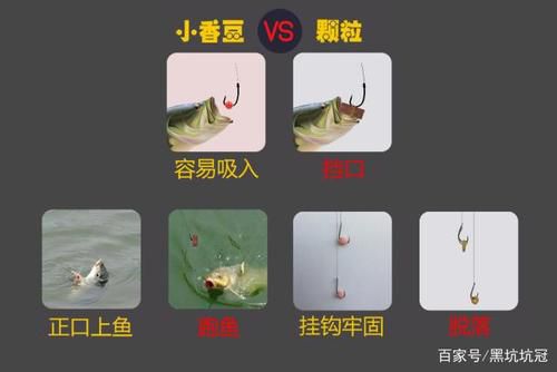 黑坑颗粒钓鱼技巧