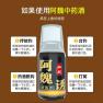 钓鱼阿魏小药放多少合适
