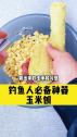玉米打窝钓鱼技巧