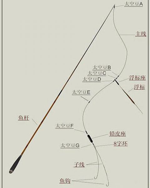 线组3加2可以钓什么鱼