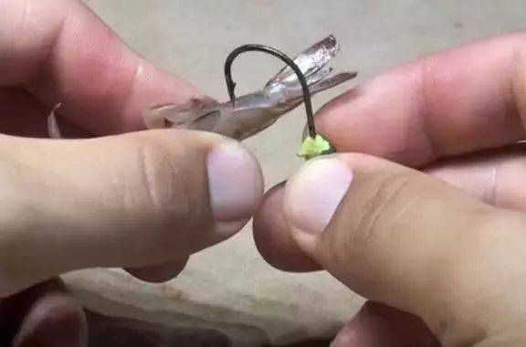 钓鱼技巧虾饵怎样挂钩