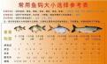 鱼钩型号钓鱼大小选择