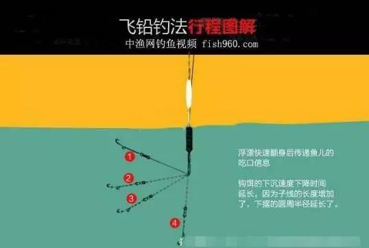 钓鱼浮钓罗飞技巧