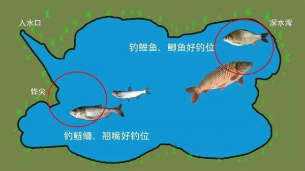 有四人不钓鱼之说吗