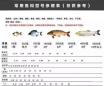 黑坑钓鲫鱼鱼钩怎样选