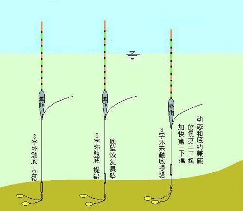 钓鱼钓浮技巧视频