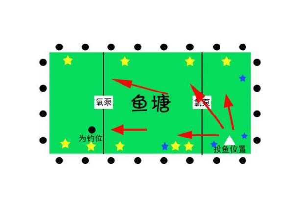 黑坑夏天钓鱼选位技巧