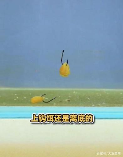 空钩平水上饵鱼钩状态