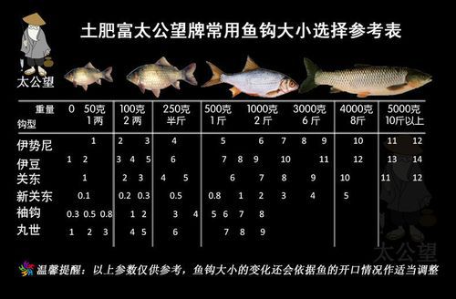 盘钩鱼钩大小如何选择