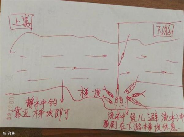 钓鱼选地方技巧