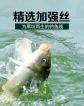 50斤鱼用什么线