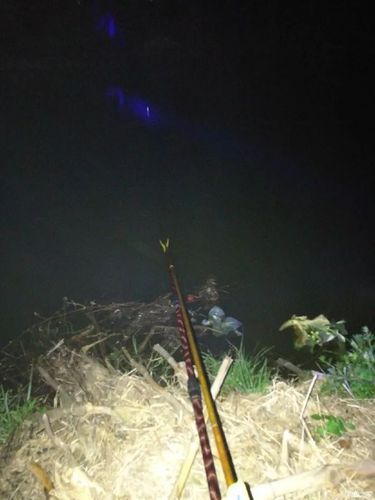 秋天钓鱼夜钓技巧视频