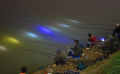 秋冬野塘夜晚钓鱼技巧