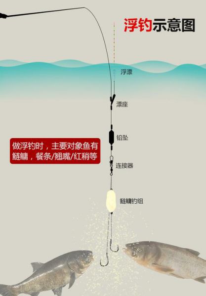 如何搭配鲢鳙钓组