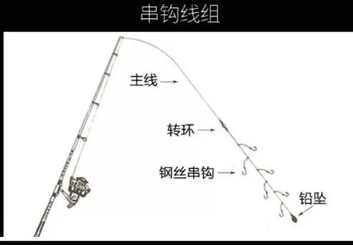 钓鱼技巧图解视频