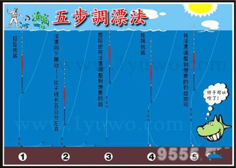 钓鱼找鱼技巧视频下载