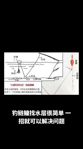 鲢鳙怎么这么难钓