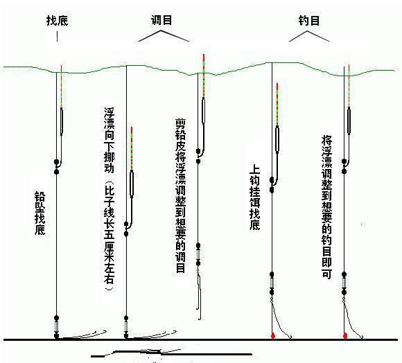 库钓鱼技巧视频2024