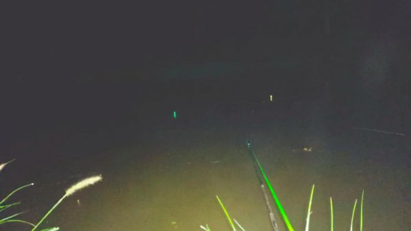 夏季夜钓鲫鱼钩下多深