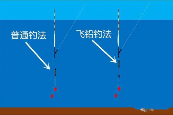 钓鱼飞抄技巧视频