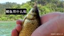 钓鲫鱼鱼钩要沉到底吗