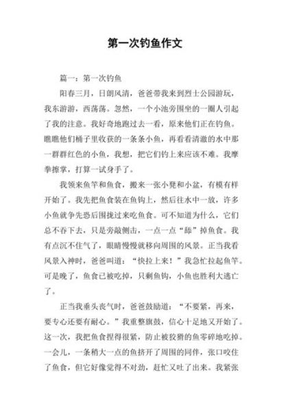 观钓鱼技巧有感