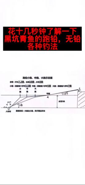 冬初黑坑怎么钓青鱼