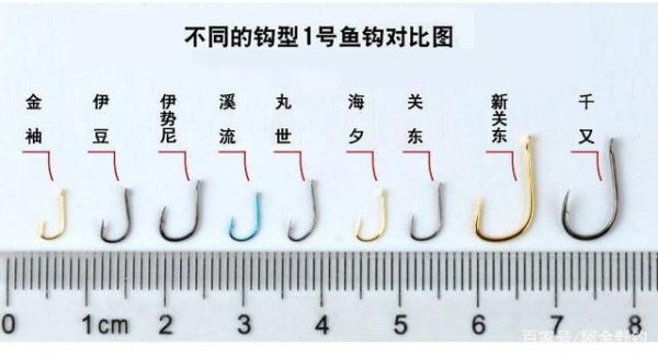 鱼钩是钩在鱼什么部位