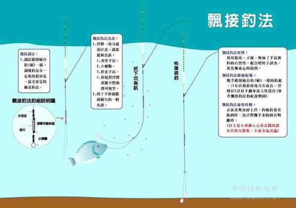 冬季小雨钓鱼技巧