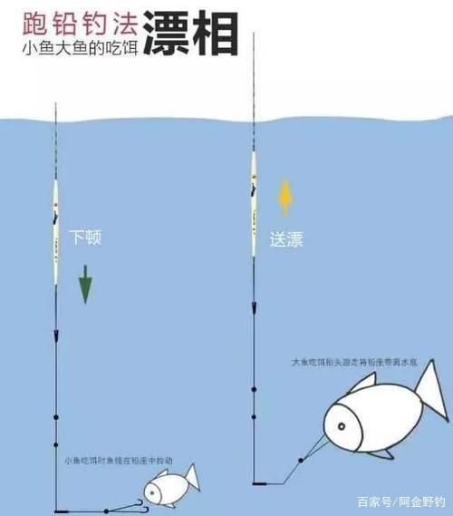 宽裕的水面钓鱼技巧