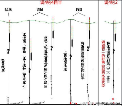 黑坑鲫鱼钓鱼技巧