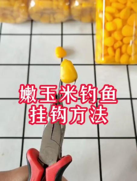 嫩玉米挂钩钓草鱼——钓鱼高手的秘籍