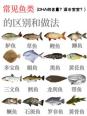 关于鲤鱼和草鱼开口温度的研究:探究水温变化与鱼类活跃度的关系