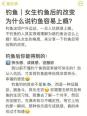 《钓鱼爱好者必备知识:探究使用3号主线钓鱼可承受的鱼类重量》