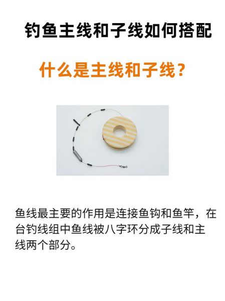 主线与子线的标准配法:钓鱼技巧中的关键组合