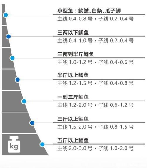 子线与主线搭配:探讨子线为20时主线的合适选择