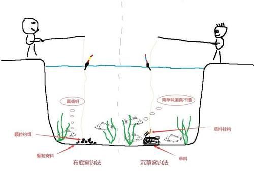 钓草鱼:钓底还是钓浮?策略与技巧详解