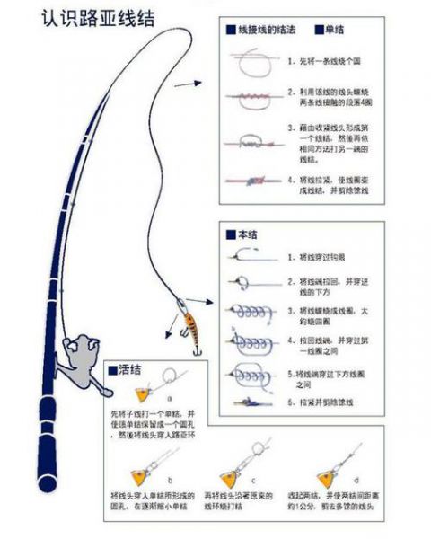 【标题】:详尽解析:台钓主线头的绑定方法与技巧