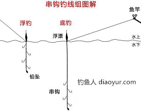 浮钓草鱼:探秘草鱼喂饲料与垂钓技巧