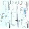 野钓应选用哪种主线：深度解析主线选择要点与技巧