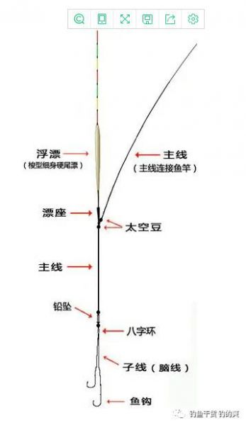 【全方位解析:48米鱼竿主线组的秘密】