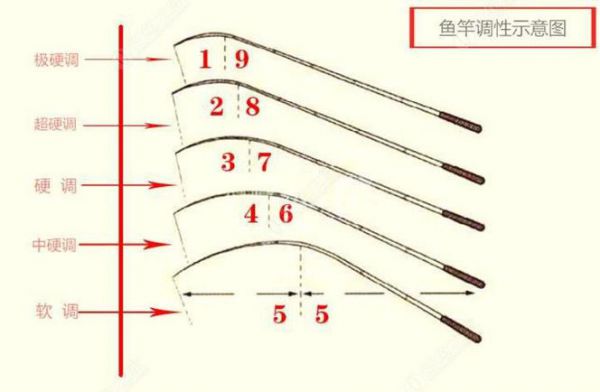 钓草鱼选择鱼竿调性：从入门到精通的全面指南