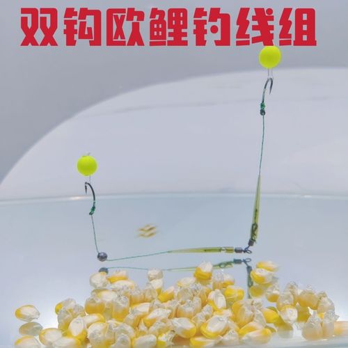 冬天能否钓获青鱼和草鱼?钓鱼爱好者的必备攻略