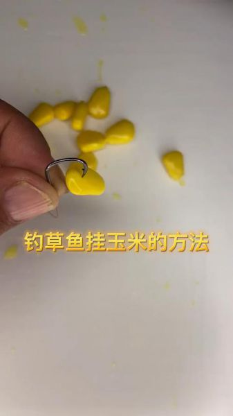 【探索垂钓秘籍：熟玉米钓鱼绝佳选择，解锁草鱼垂钓新境