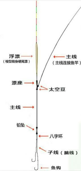 夏天野钓主线选择及钓鱼技巧：专业解析20号主线的优势