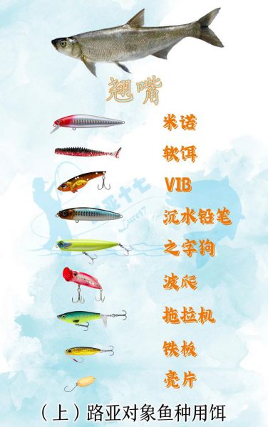【全方位解析】渔具店钓鱼饵料,助您轻松掌握钓鱼秘籍!